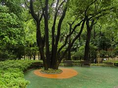 -徐家汇源景区-衡山公园