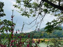 -清溪大王山森林公园