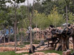 -北京野生动物园