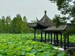 -高子水居