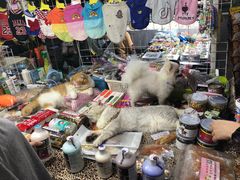-吴山路夜市