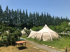 -前小桔亲子创意农场·草莓采摘·露营烧烤