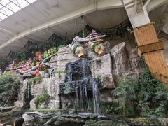 -南宫五洲植物乐园