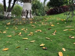 -沙河三洞古桥公园