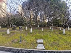 -苏州河梦清园环保主题公园