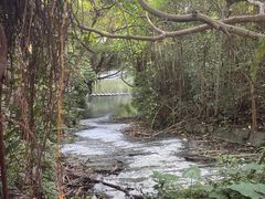-燕晗山郊野公园