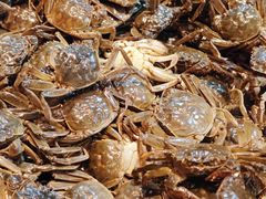 -黑金·寻焰自助百汇·烤肉·火锅(中街店)