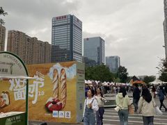 -合景·悠方(成都店)