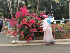 -三亚海昌梦幻海洋不夜城