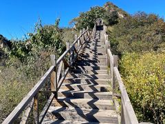 -大岭沟猕猴桃谷风景区