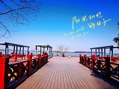 -金银湖国家城市湿地公园