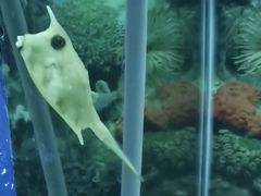 -泉州海丝野生动物世界