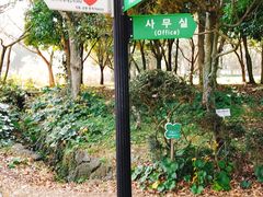 -汉拿树木园