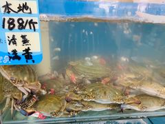 -渔民船说·北塘海鲜·天津菜·海肠捞饭(北塘古镇店)
