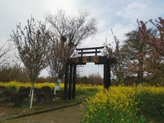 -武汉紫薇都市田园