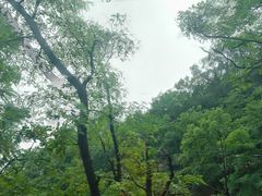 -泰山风景名胜区