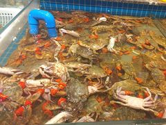 -一方渔歌蒸汽海鲜自助(文化路万达广场店)