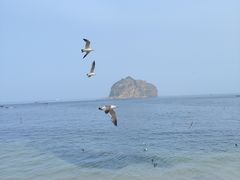 -棒棰岛宾馆景区