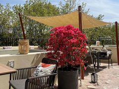 -HUATA 'Holiday Plan 花榻
