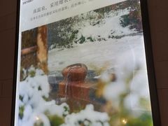 -扬州瘦西湖温泉