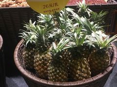 -香佰里鲜货火锅(佳乐金街店)