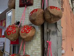 -洪馨椰子