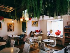 -Husky Go! 哈士奇体验馆·宠物咖啡厅狗咖