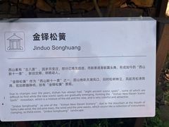 -苏州太湖湖滨国家湿地公园