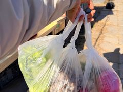 -大自然农场蔬菜草莓采摘园