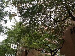 -广东外语外贸大学(白云山校区)