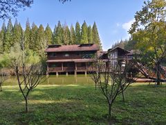 -黄海国家森林公园