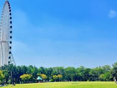 -南宁市凤岭儿童公园