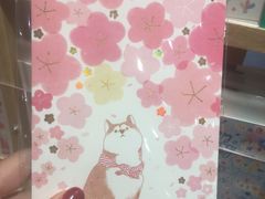 -猫的天空之城概念书店(印象城购物中心店)