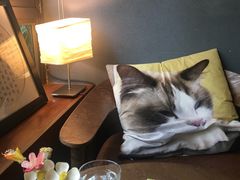 -咖法森林·咖啡  酒吧(天河店)