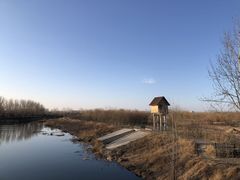 -东郊湿地公园