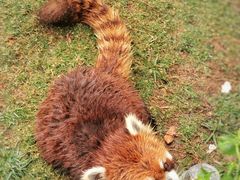 -泉州海丝野生动物世界