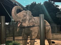 -杭州野生动物世界
