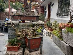 -古韵餐厅(湖畔大学店)