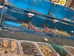-禾记海鲜烧烤(八一路店)