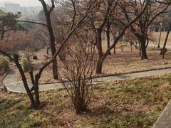 -青岛德国总督楼旧址博物馆