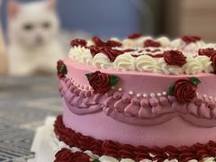 -CarolCake卡萝家(锦华万达店)