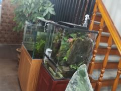 -繁花足道(梅江店)