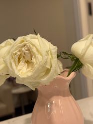 -上海玫瑰医疗美容医院