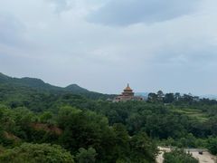 -磬锤峰森林公园