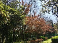 -浦明师范学校附属小学(东城校区)