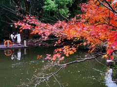 -汇龙潭