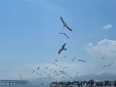 -星海广场