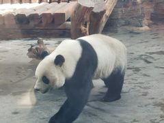 -石家庄市动物园