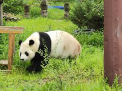 -沈阳森林动物园