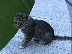 -上海科学技术职业学院